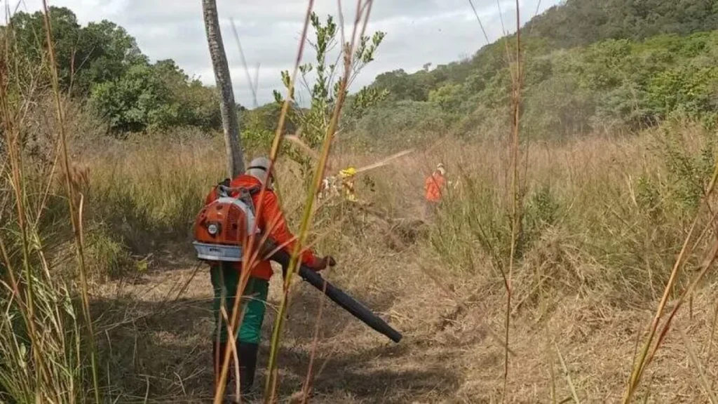 Brigada comunitária evita incêndios na Serra do Amolar