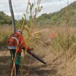 Brigada comunitária evita incêndios na Serra do Amolar