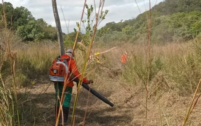 Brigada comunitária evita incêndios na Serra do Amolar