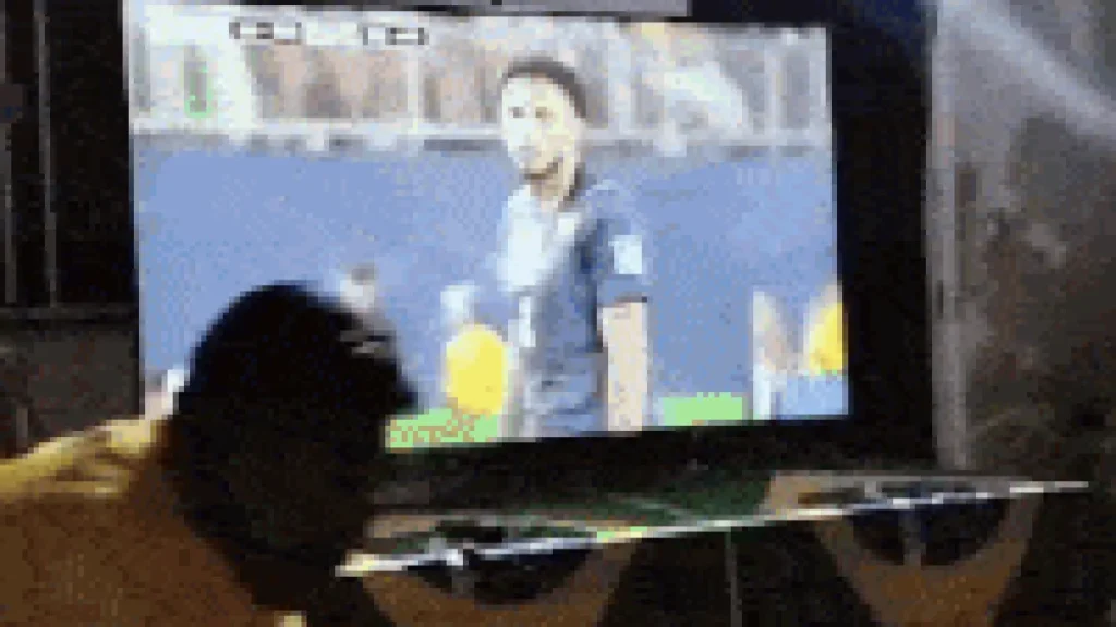 Família celebra estreia de Éderson na Copa como se fosse título