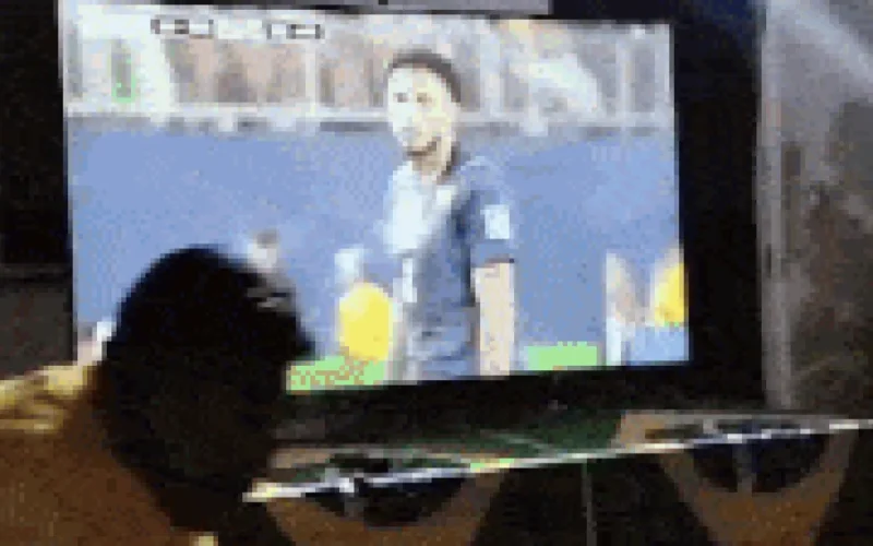 Família celebra estreia de Éderson na Copa como se fosse título