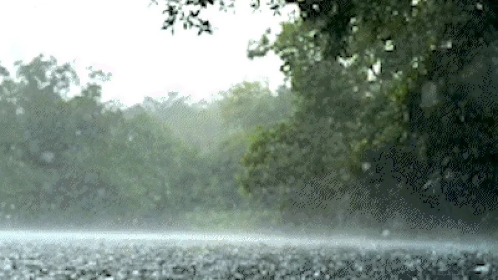 Chuva não tira a transparência do Rio da Prata em Jardim