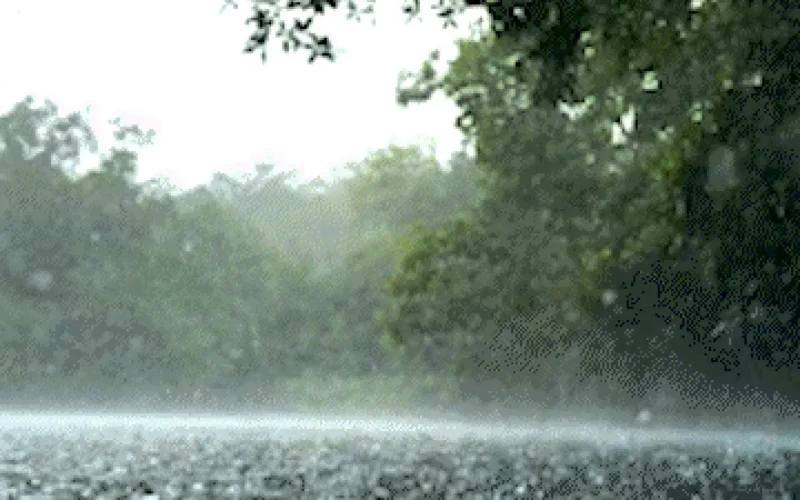 Chuva não tira a transparência do Rio da Prata em Jardim