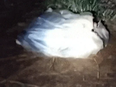Homem vive em sacola às margens da BR-163 com frio abaixo de 5°C