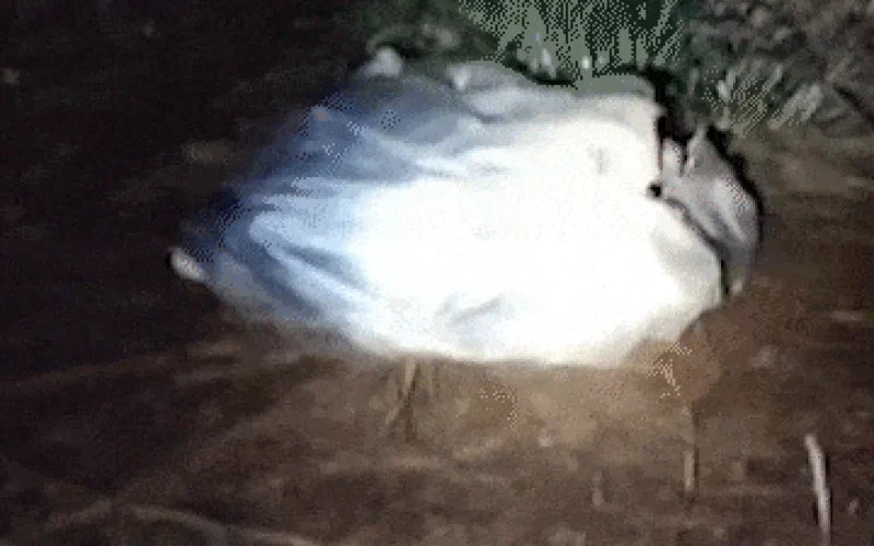 Homem vive em sacola às margens da BR-163 com frio abaixo de 5°C