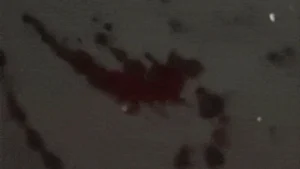 Policial é baleado com 3 tiros durante abordagem em Água Clara