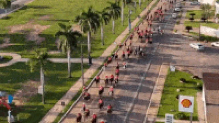 Fé e tradição marcam o Dia de São Pedro em MS