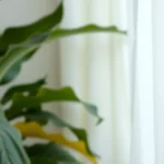 Reels para profissionais da saúde: ideias para informar e engajar
