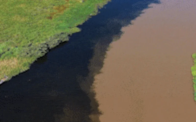 Encontro de rios cria contraste deslumbrante no Pantanal
