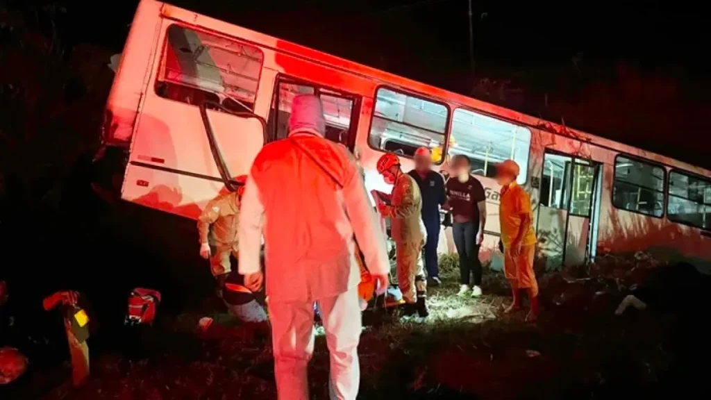 Ônibus bate em carreta-cegonha e sai da BR-163 em MS