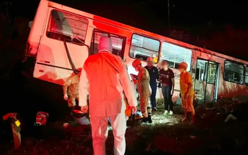 Ônibus bate em carreta-cegonha e sai da BR-163 em MS