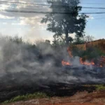 Multas por queimadas e sujeira podem ultrapassar R$ 1,4 milhão