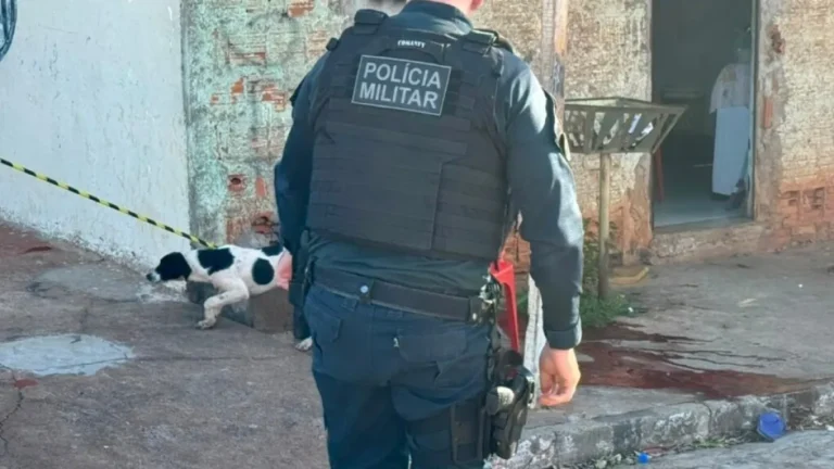 MS esclarece 71% dos homicídios e tem 5º melhor índice do País