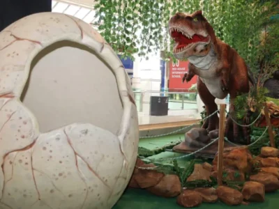 Parque indoor une dinossauros, infláveis e games