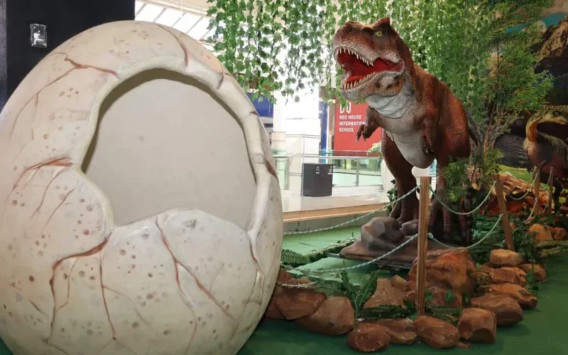 Parque indoor une dinossauros, infláveis e games