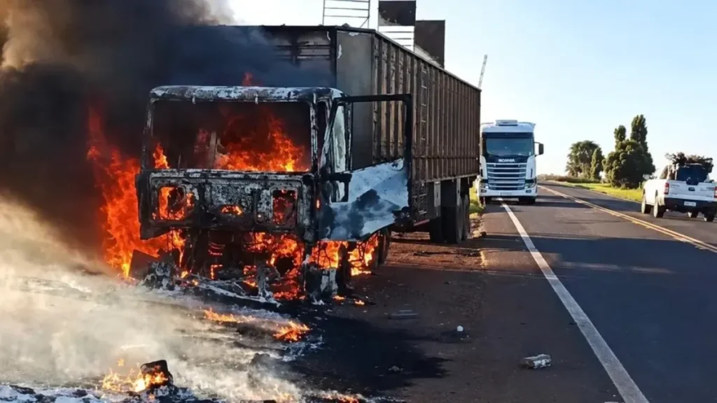 Incêndio em carreta libera bois na MS-395 em MS