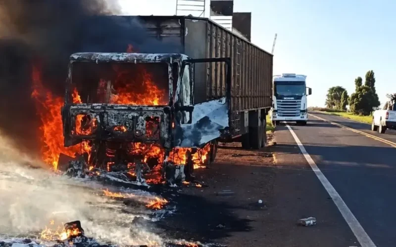 Incêndio em carreta libera bois na MS-395 em MS