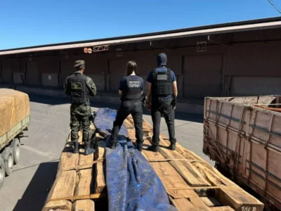 Laudo preliminar nega cocaína em maior apreensão de madeira