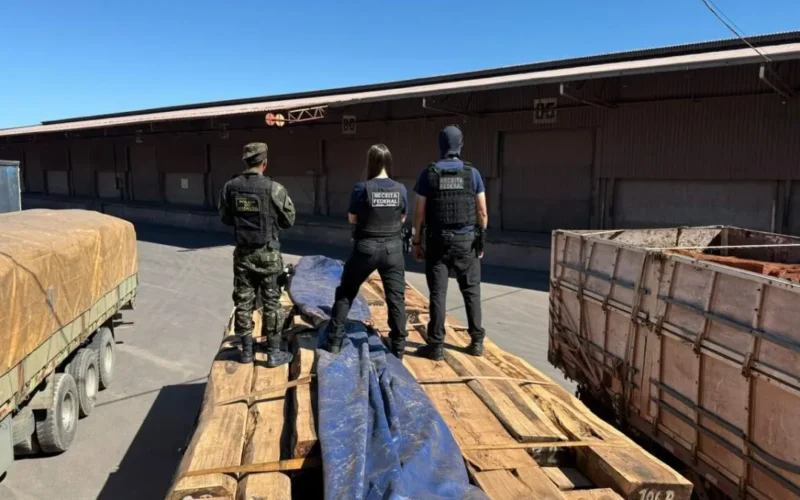 Laudo preliminar nega cocaína em maior apreensão de madeira