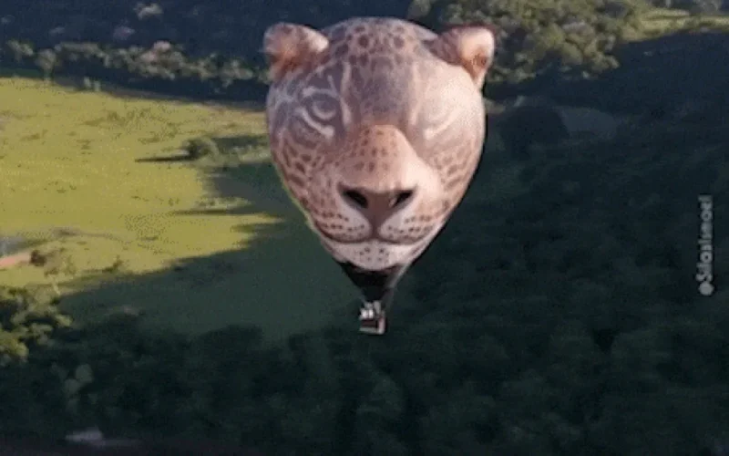 Balão em formato de onça-pintada inova nos céus do Pantanal