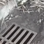 Limpeza de bueiro vira ciclo e morador denuncia retorno de sujeira