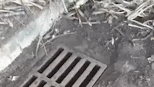 Limpeza de bueiro vira ciclo e morador denuncia retorno de sujeira