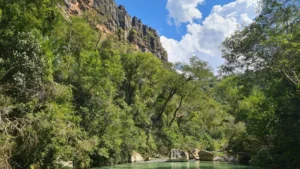 Pacote antiambiental ameaça áreas protegidas de MS
