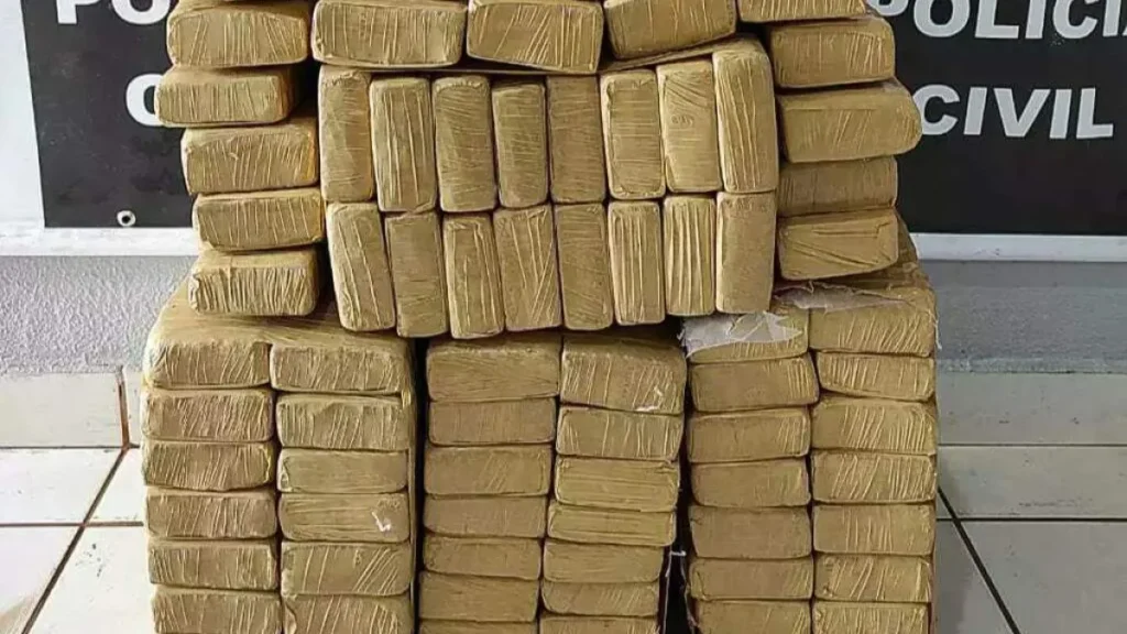 Jovem é preso com 394 kg de maconha em rodovia de MS