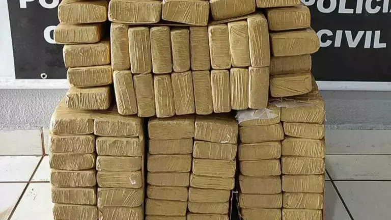 Jovem é preso com 394 kg de maconha em rodovia de MS