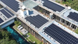 Alems elimina 10 concorrentes e fecha contrato solar de R$ 5,37 mi
