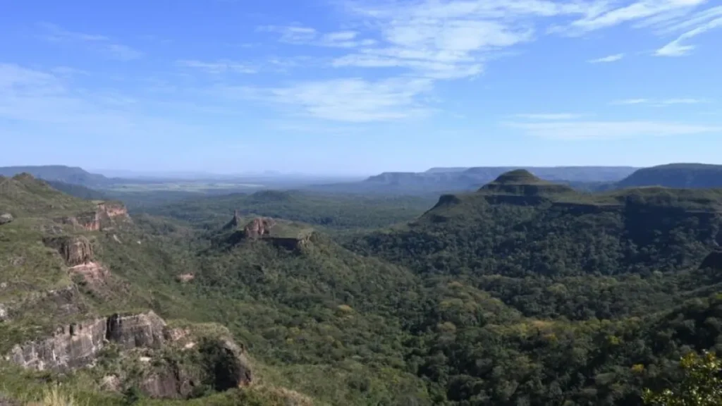 Desmatamento cai 65% no Pantanal e 11,5% no Cerrado
