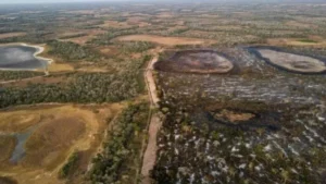 Ladário abre consulta pública para criar o Parque Pérola do Pantanal