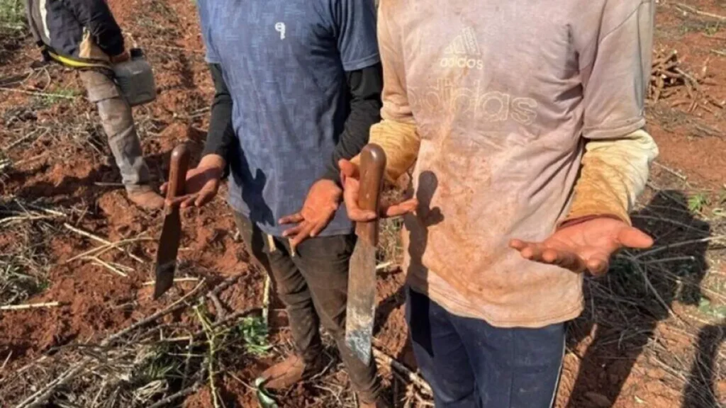MS: fazendas pagarão R$ 1,7 milhão por trabalho escravo