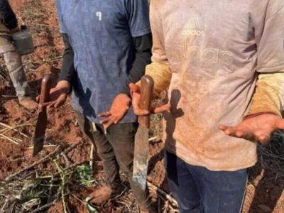 MS: fazendas pagarão R$ 1,7 milhão por trabalho escravo